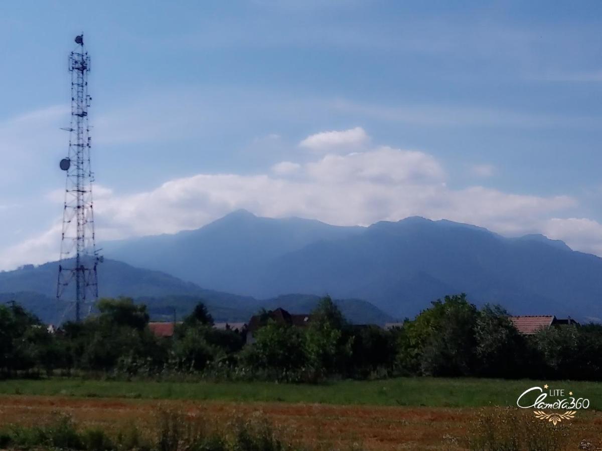 Cazare Apartament Rasnov Exterior foto
