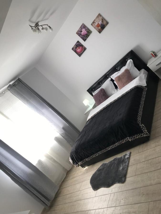 Cazare Apartament Rasnov Exterior foto